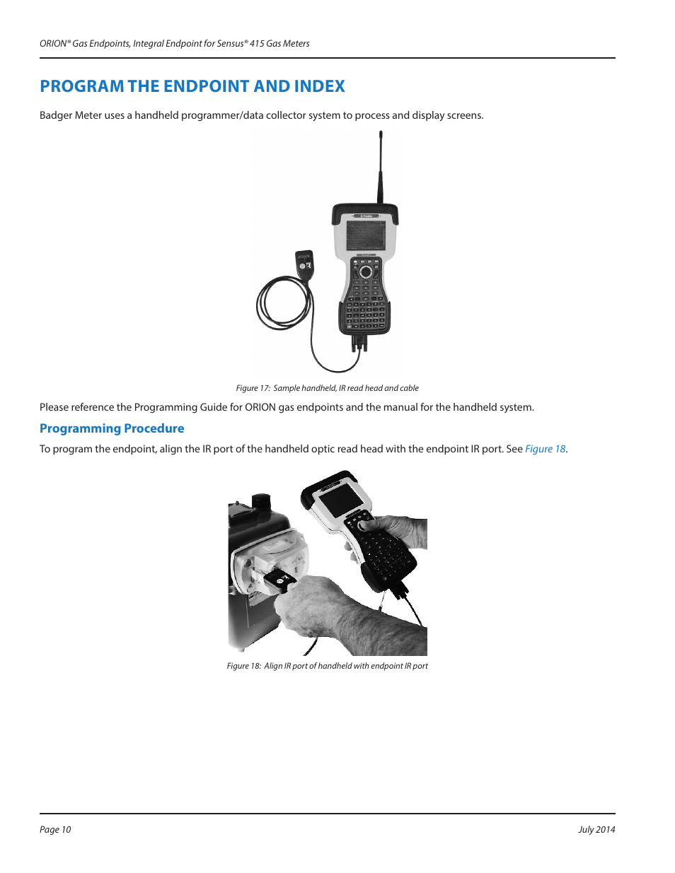 Program the endpoint and index, Programming procedure, Program the endpoint and index 10 | Programming procedure 10 | Badger Meter ORION AMR/AMI Hardware Solutions for Gas Utilities User Manual | Page 10 / 12