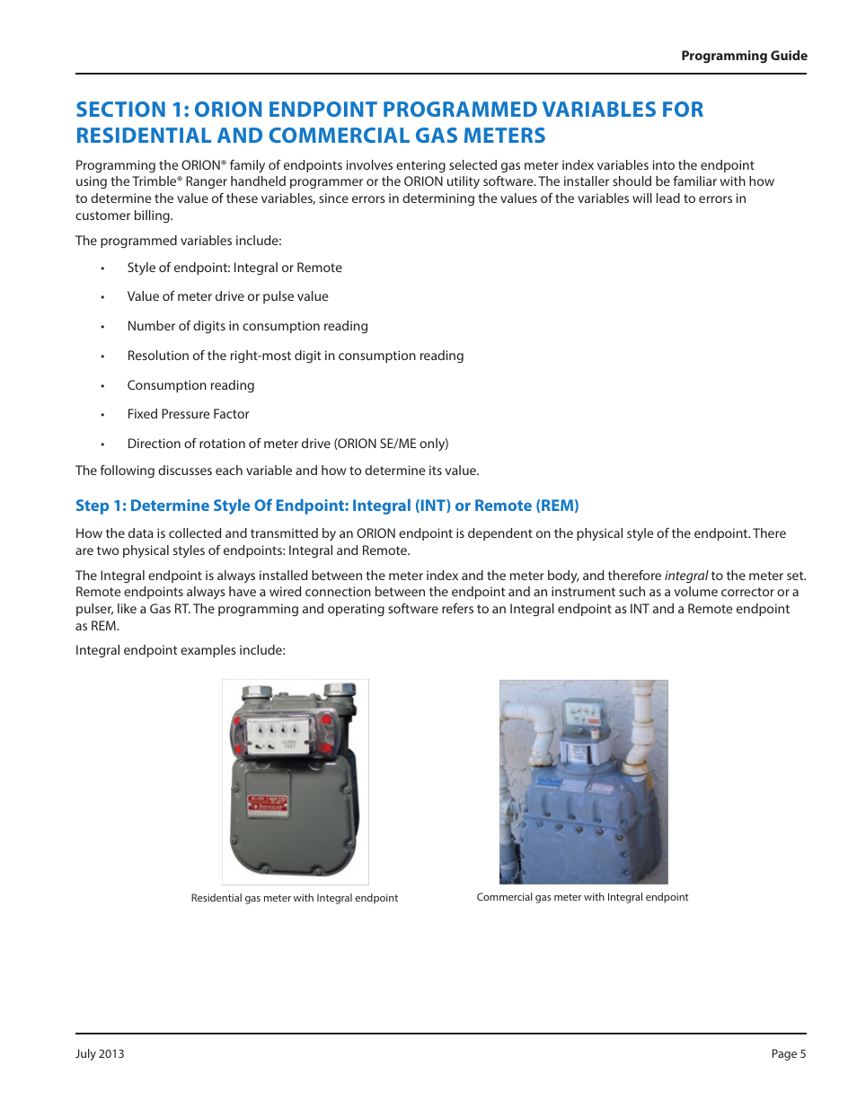 Meters | Badger Meter ORION AMR/AMI Hardware Solutions for Gas Utilities User Manual | Page 5 / 36