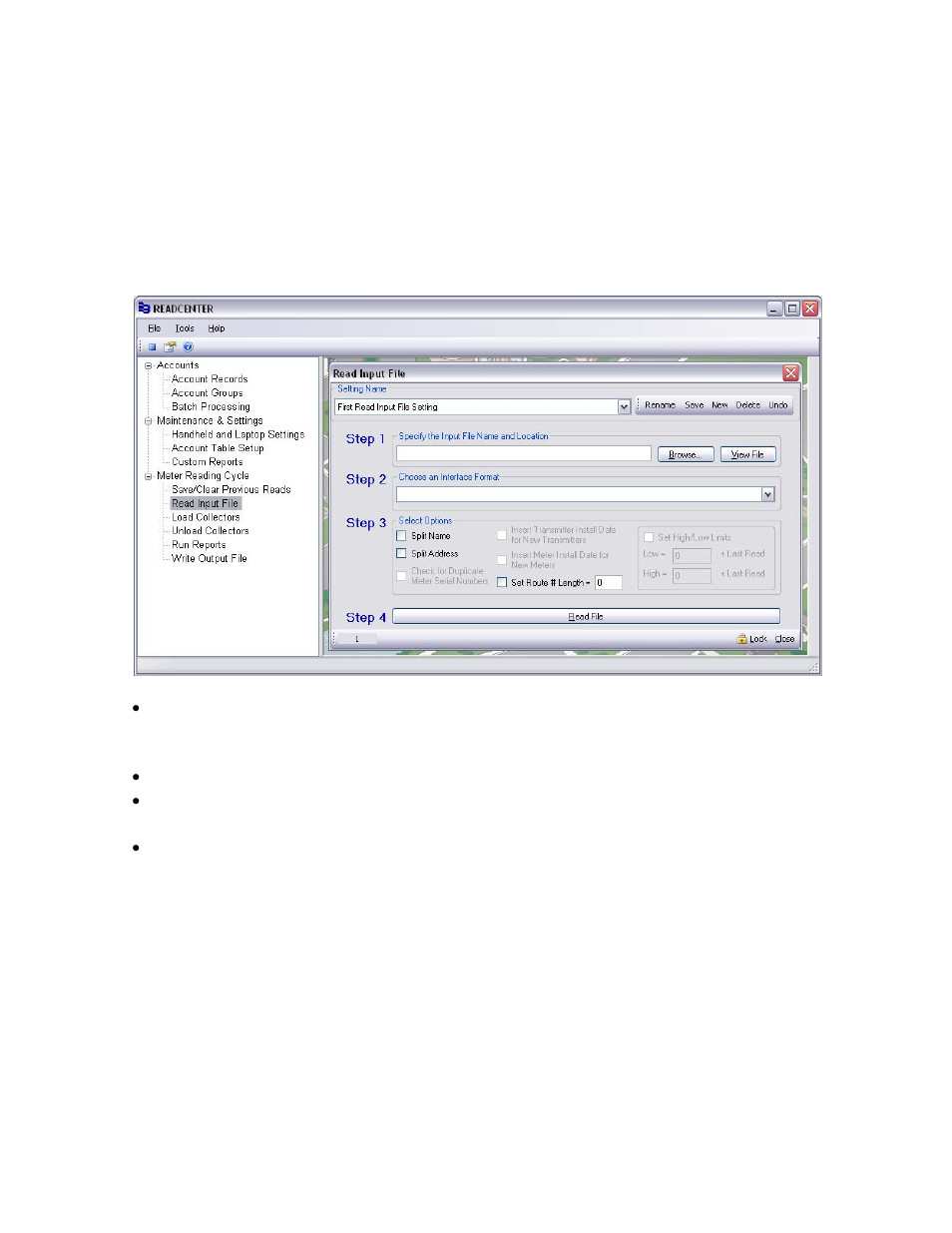 Read input file | Badger Meter ReadCenter User Manual | Page 11 / 72