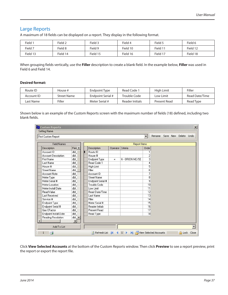 Large reports | Badger Meter ReadCenter User Manual | Page 37 / 112