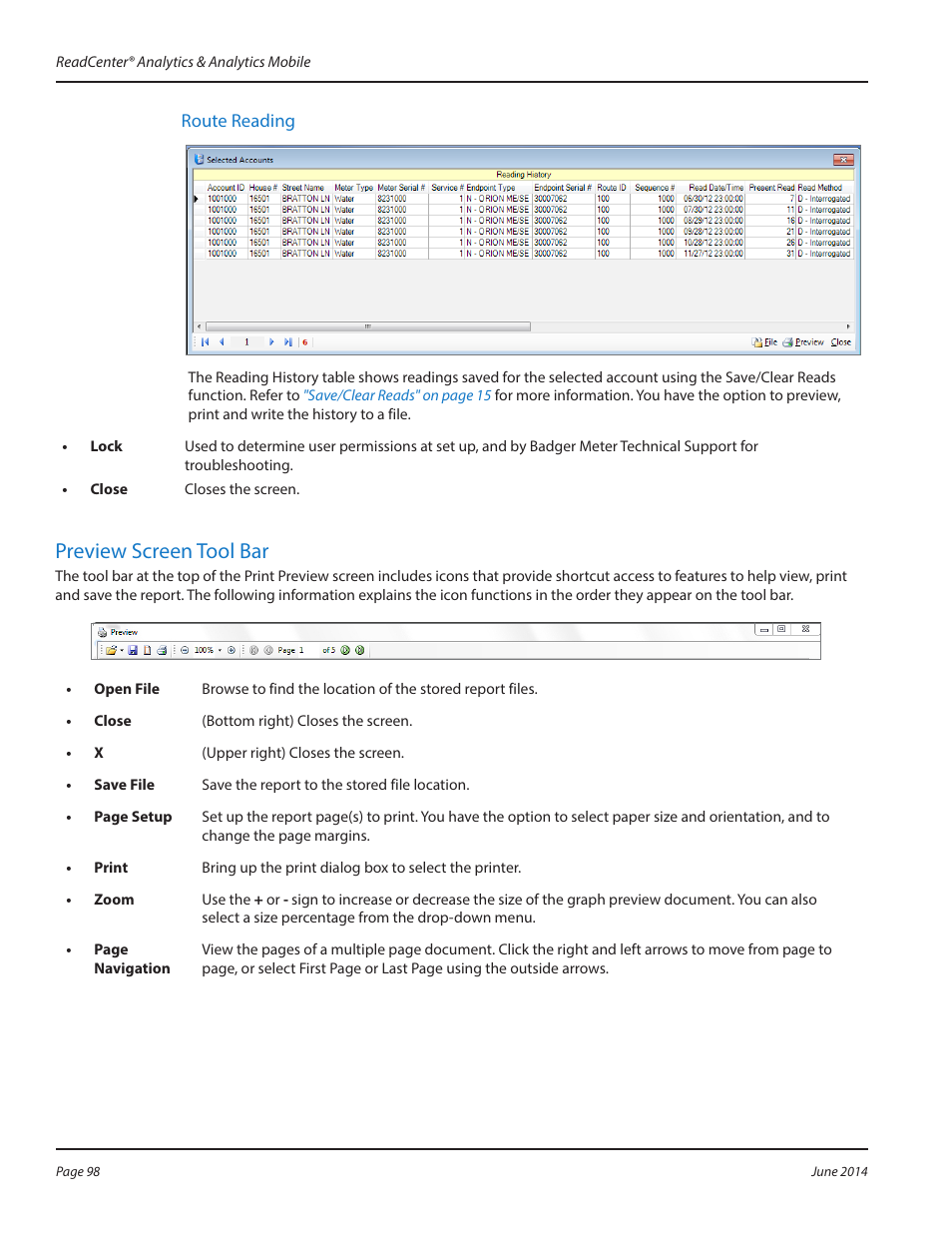 Route reading, Preview screen tool bar | Badger Meter ReadCenter User Manual | Page 98 / 112