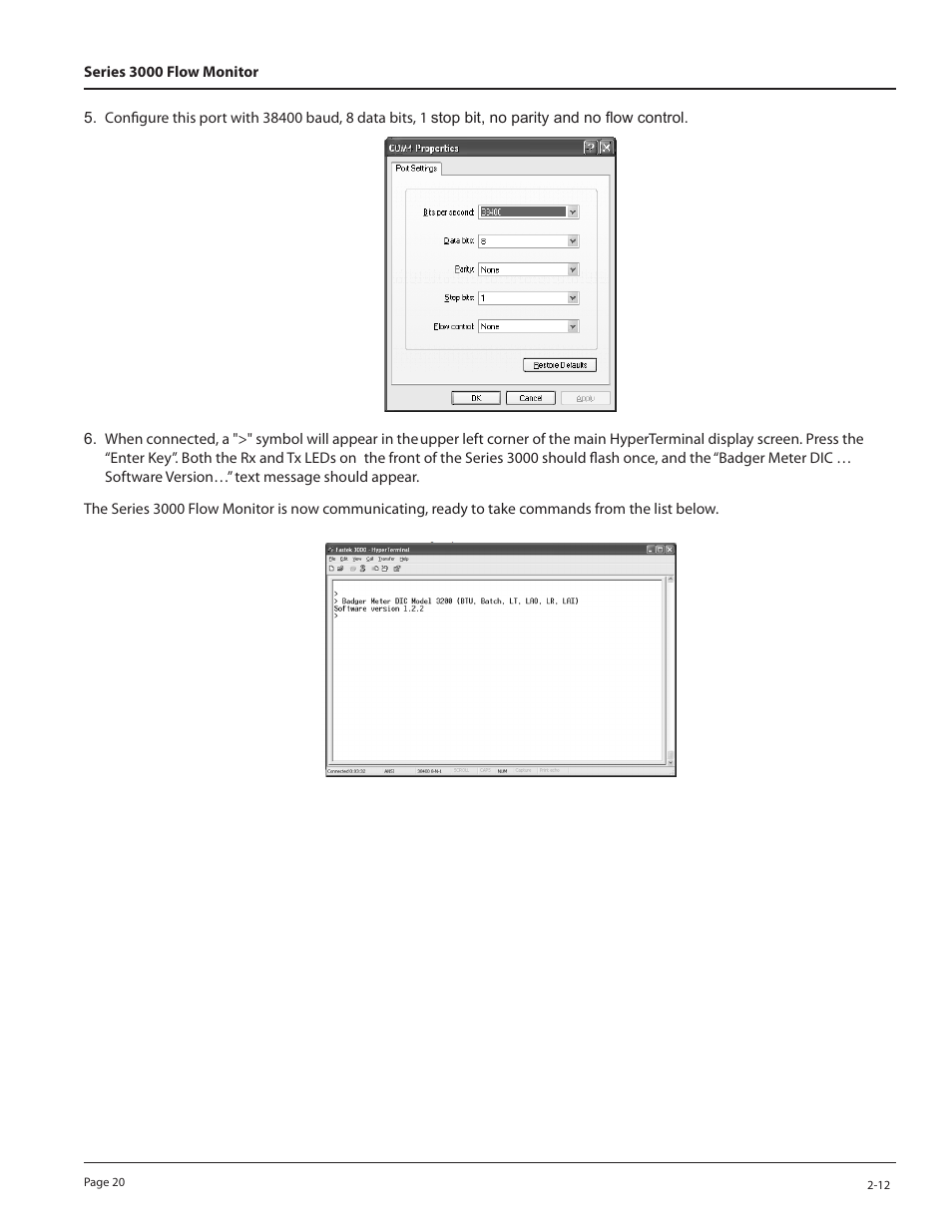Badger Meter 3100 Series Flow Monitor User Manual | Page 20 / 24