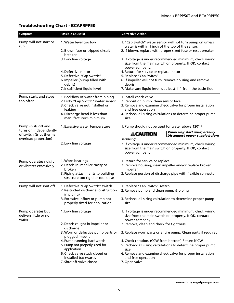 Blue Angel Pumps BCAPRPP50 User Manual | Page 5 / 20