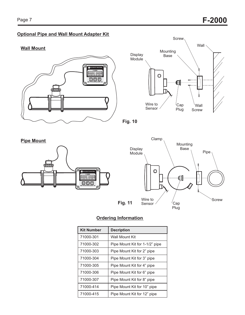 F-2000, 0 mounting options, Ordering information fig. 10 fig. 11 | Page 6 panel mount rotating display, Fig. 6 angle mount on horizontal pipe, Fig. 7 fig. 9 fig. 8 | Blue-White F-2000 – Sensor User Manual | Page 7 / 22