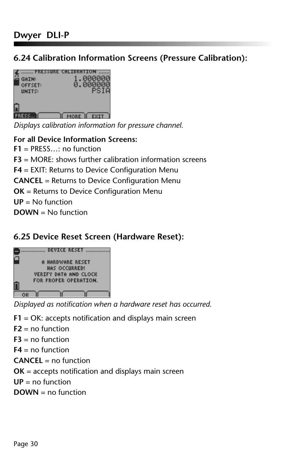 Dwyer DLI-P User Manual | Page 31 / 38