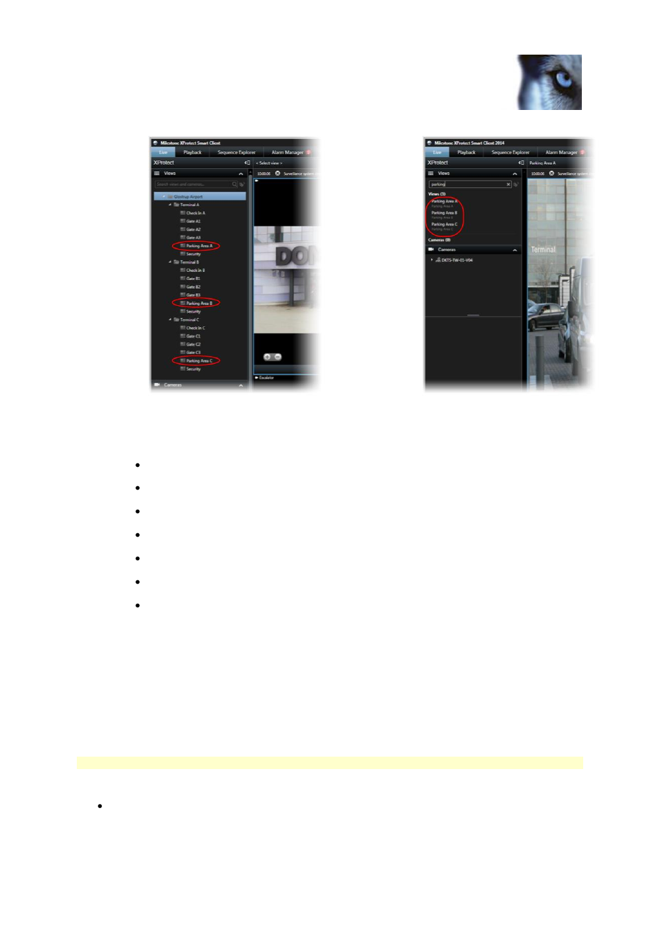 Views and view groups | Milestone XProtect Smart Client 2013 User Manual | Page 52 / 181