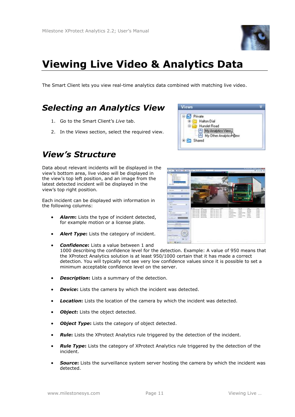 Viewing live video & analytics data, Selecting an analytics view, View’s structure | Milestone Analytics 2.2 User Manual | Page 11 / 19