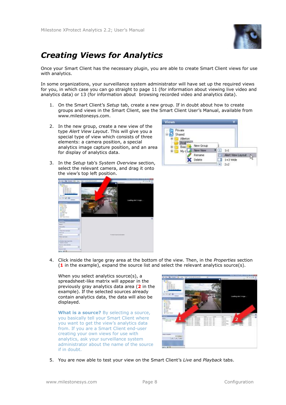 Creating views for analytics | Milestone Analytics 2.2 User Manual | Page 8 / 19