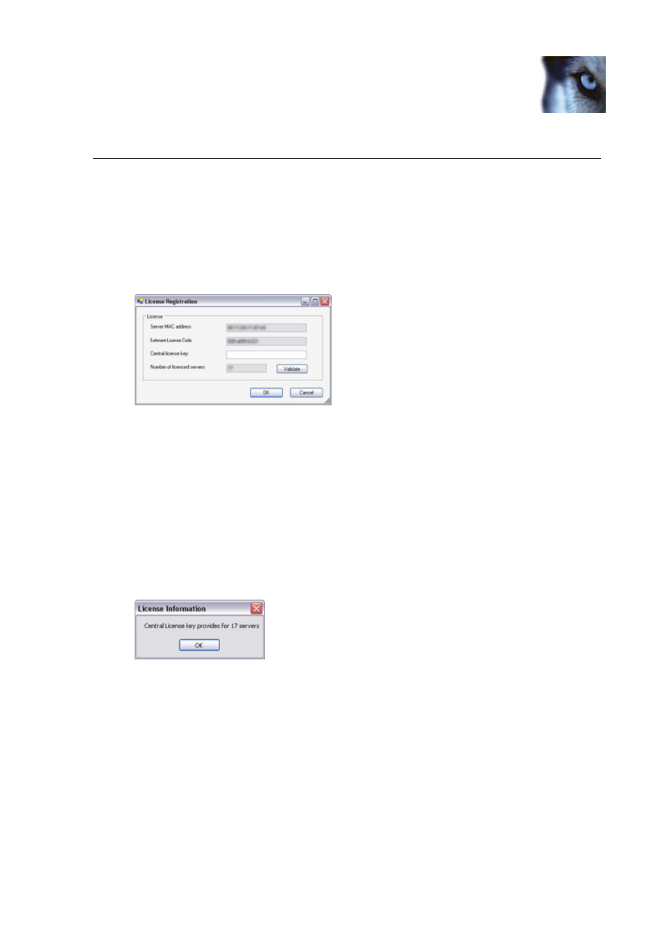Client: licensing, Getting a central license key | Milestone Central 3.7 User Manual | Page 32 / 82