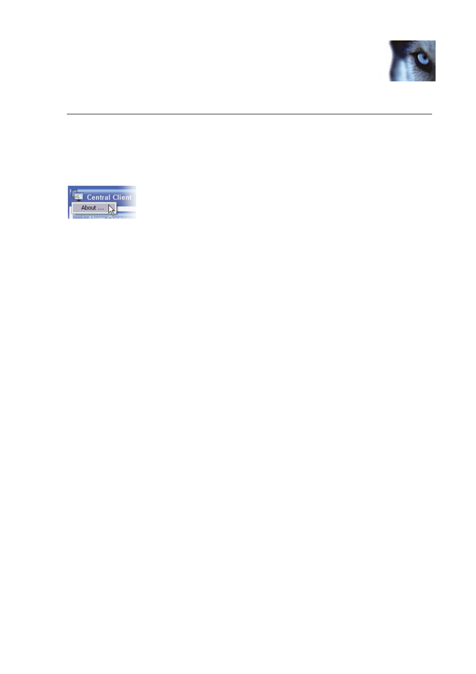 Client: version information | Milestone Central 3.7 User Manual | Page 70 / 82