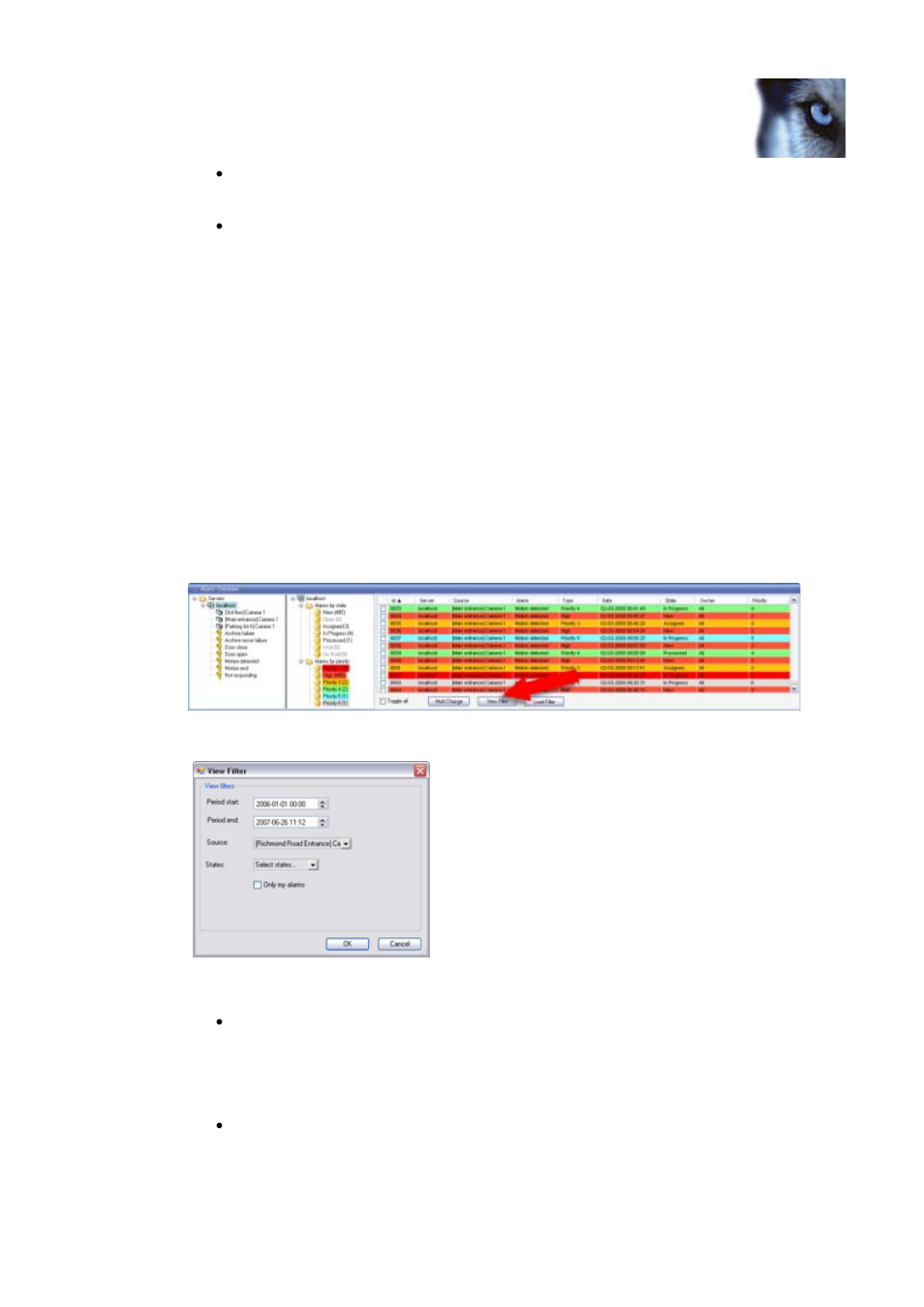 Specifying which alarms to view in the list, Ge 19 | Milestone Central 3.7 User Manual | Page 19 / 53