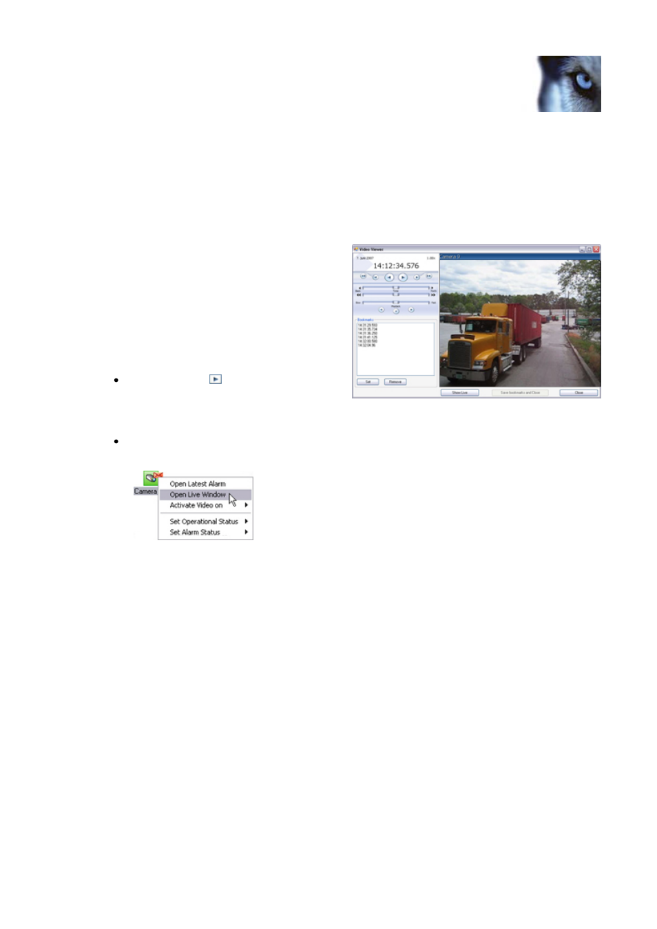 Viewing recorded & live video, How to access the video viewer window, Switching between browse & live mode | Audio | Milestone Central 3.7 User Manual | Page 27 / 53