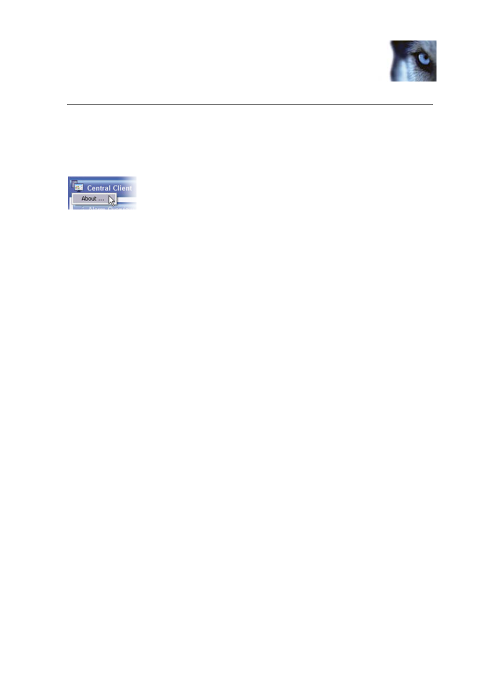 Version information | Milestone Central 3.7 User Manual | Page 44 / 53