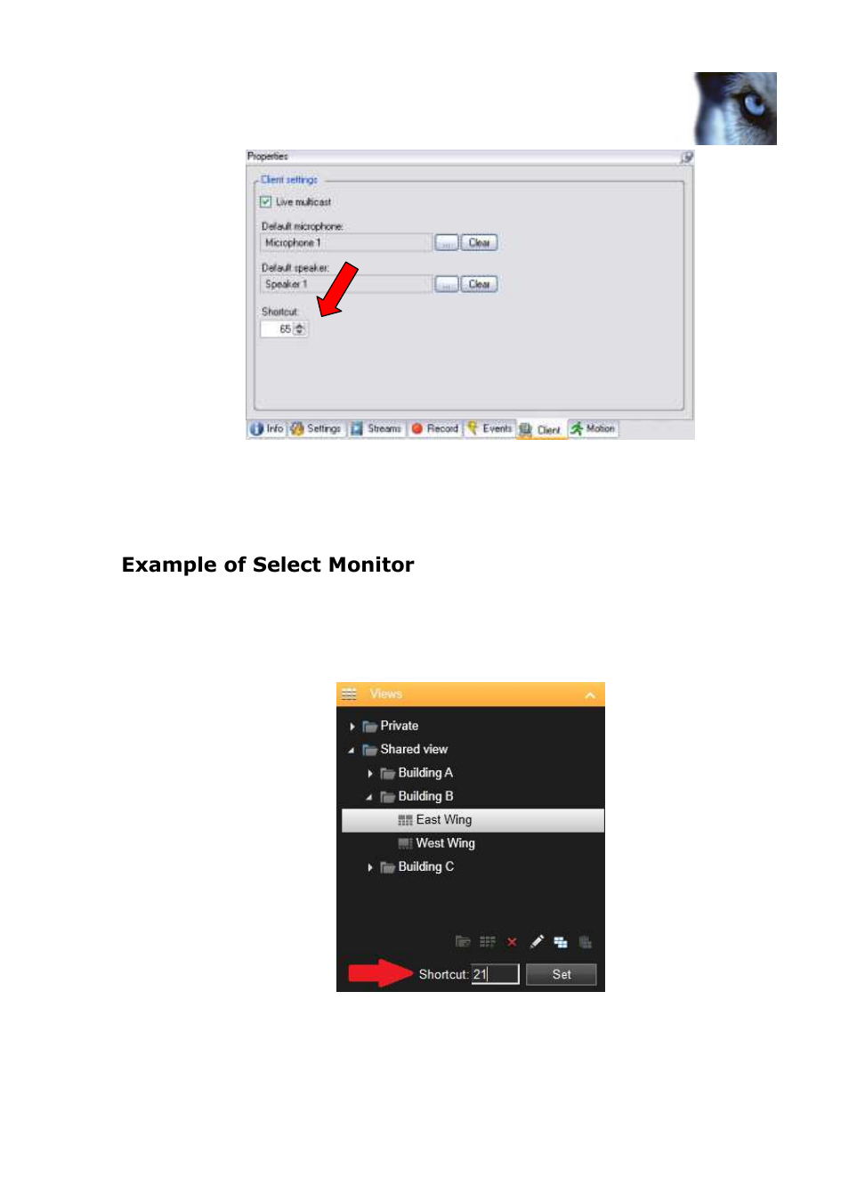 Example of select monitor | Milestone Axis T8310 Controller Smart Client Plug-in User Manual | Page 11 / 15