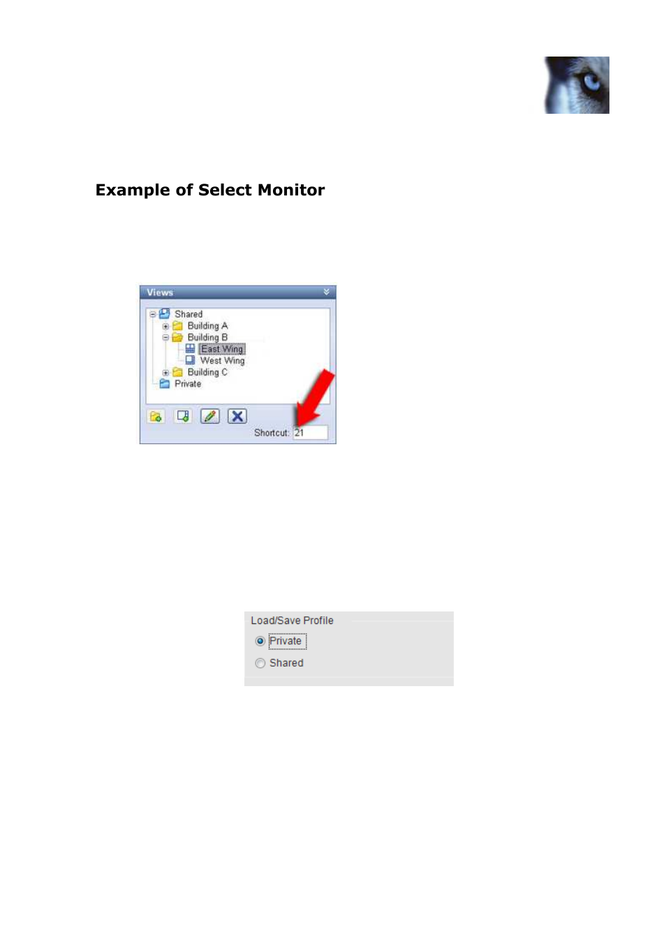 Profile options, Example of select monitor | Milestone Bosch Intuikey Keyboard Smart Client Plug-in User Manual | Page 12 / 16
