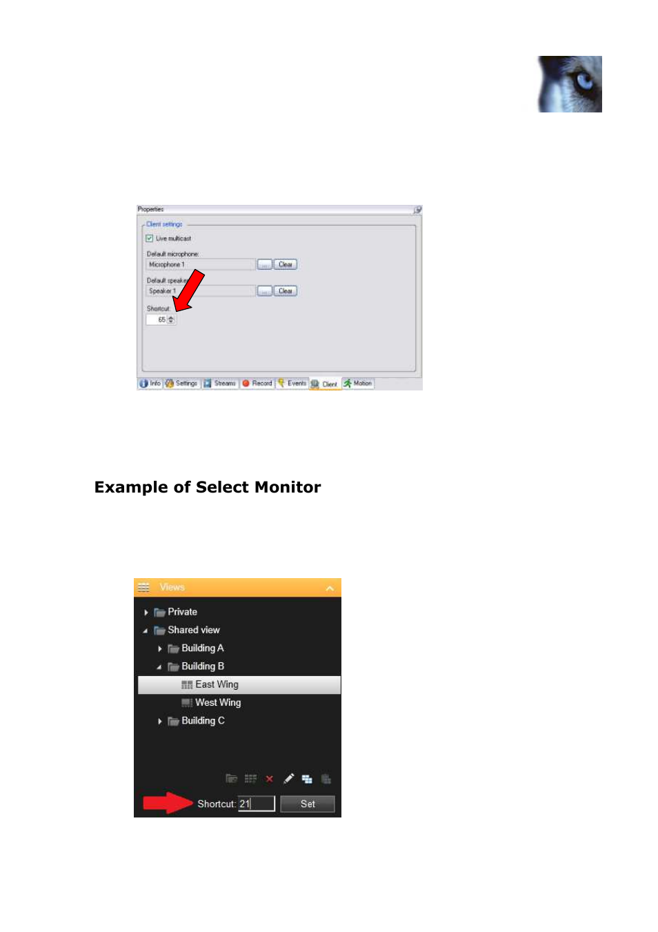 Example of select monitor | Milestone Panasonic WV-CU950 Controller Smart Client Plug-in User Manual | Page 11 / 17