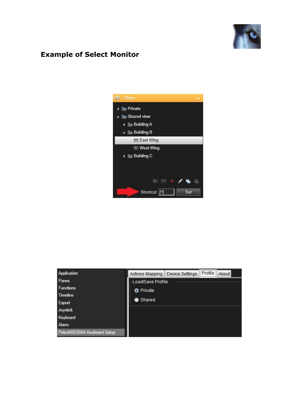 Profile options, Example of select monitor | Milestone Pelco KBD300A Keyboard Smart Client Plug-in User Manual | Page 12 / 16