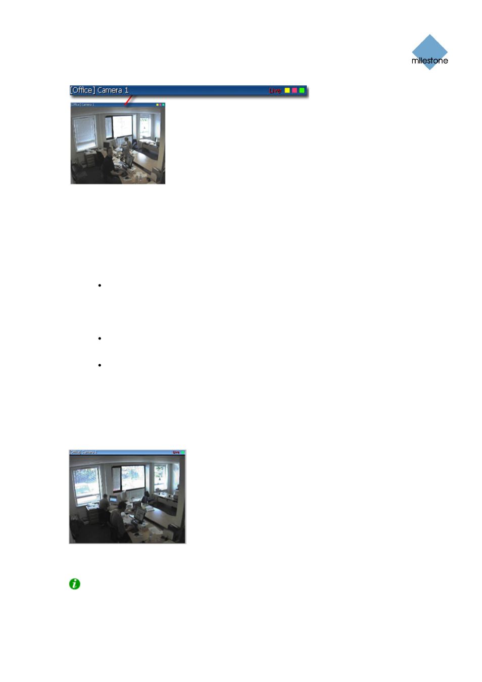 Enlarging images from a particular camera | Milestone Remote Client 3.5 User Manual | Page 29 / 49