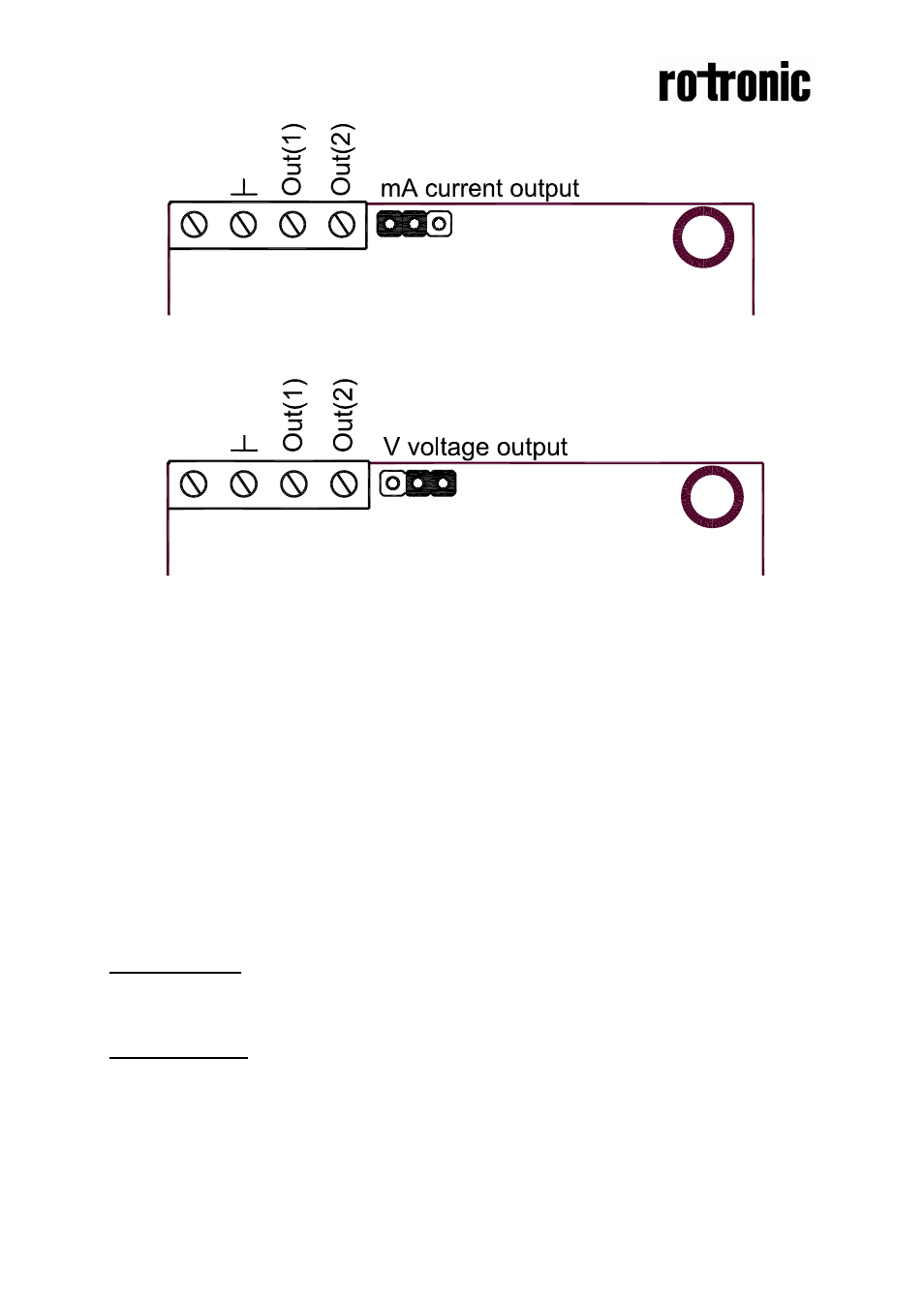 Self-diagnostics, Maintenance | ROTRONIC CF3-W-EU User Manual | Page 3 / 4