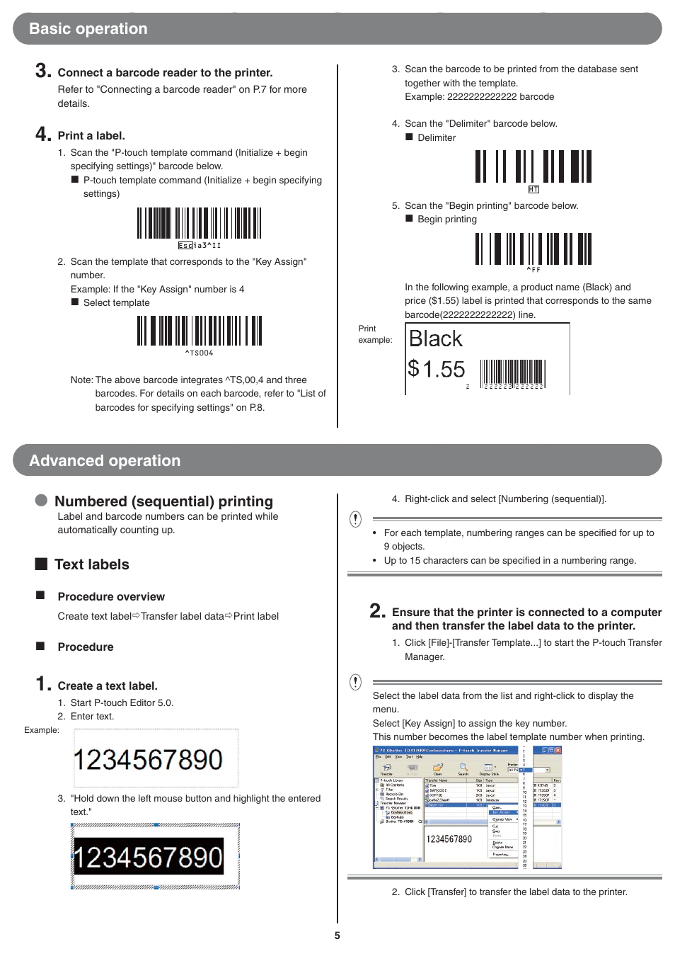 Basic operation, Advanced operation, Numbered (sequential) printing | Text labels | Brother TD-4000 User Manual | Page 5 / 10