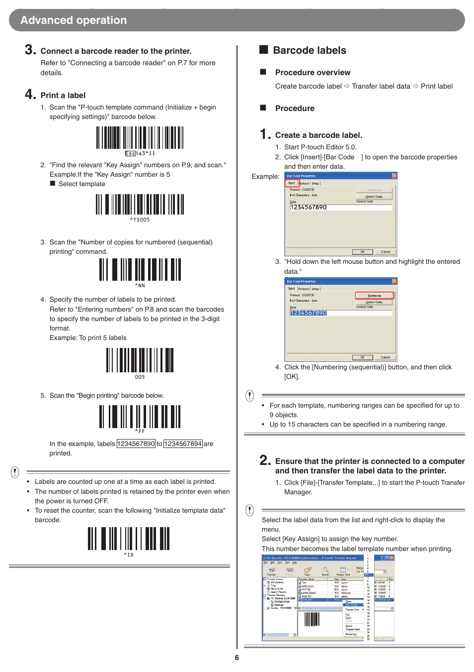 Advanced operation, Barcode labels | Brother TD-4000 User Manual | Page 6 / 10