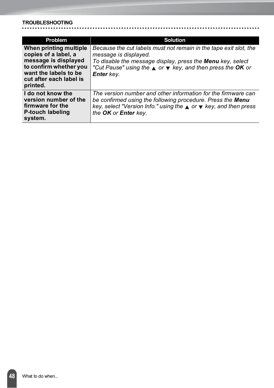 Brother PT-E500 User Manual | Page 49 / 63