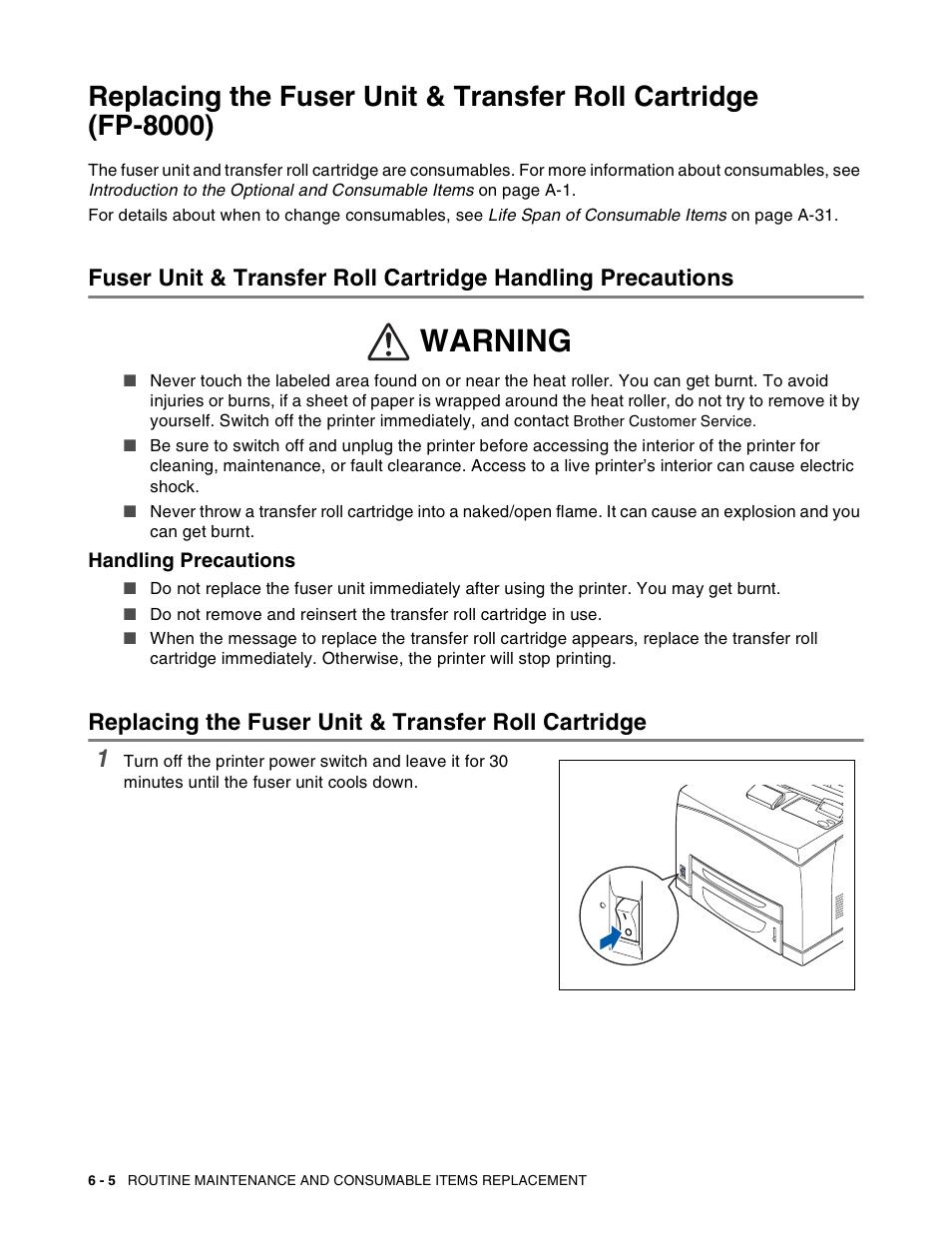 Handling precautions, Replacing the fuser unit & transfer roll cartridge, Handling precautions -5 | Warning | Brother HL-8050N User Manual | Page 145 / 216
