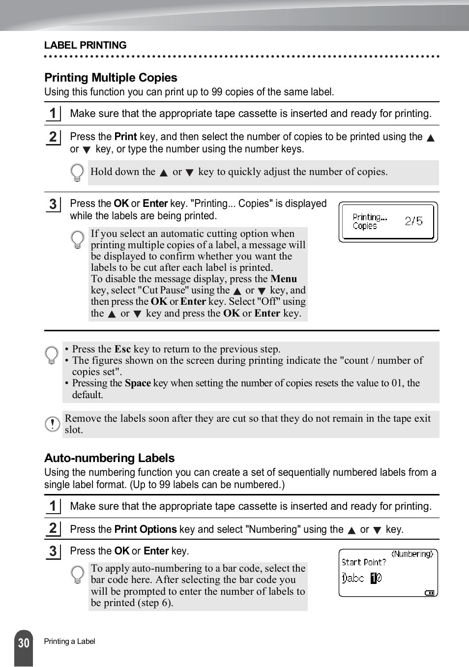 Printing multiple copies, Auto-numbering labels, Printing multiple copies auto-numbering labels | Brother PT-H500 User Manual | Page 31 / 62