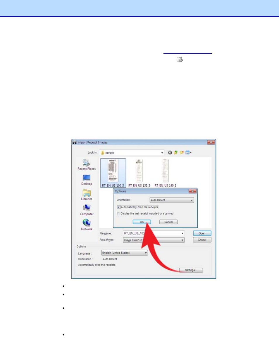 Importing receipts | Brother BR-Receipts User Manual | Page 19 / 32