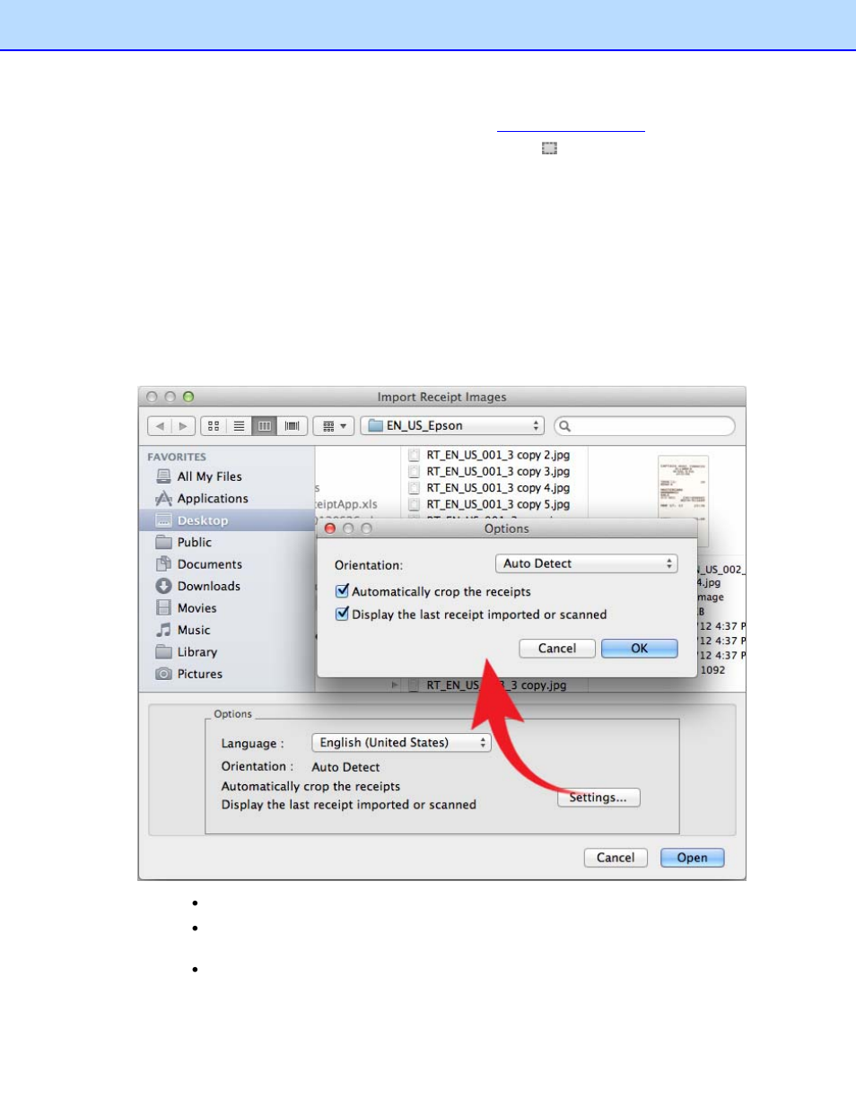Importing receipts | Brother BR-Receipts User Manual | Page 19 / 33
