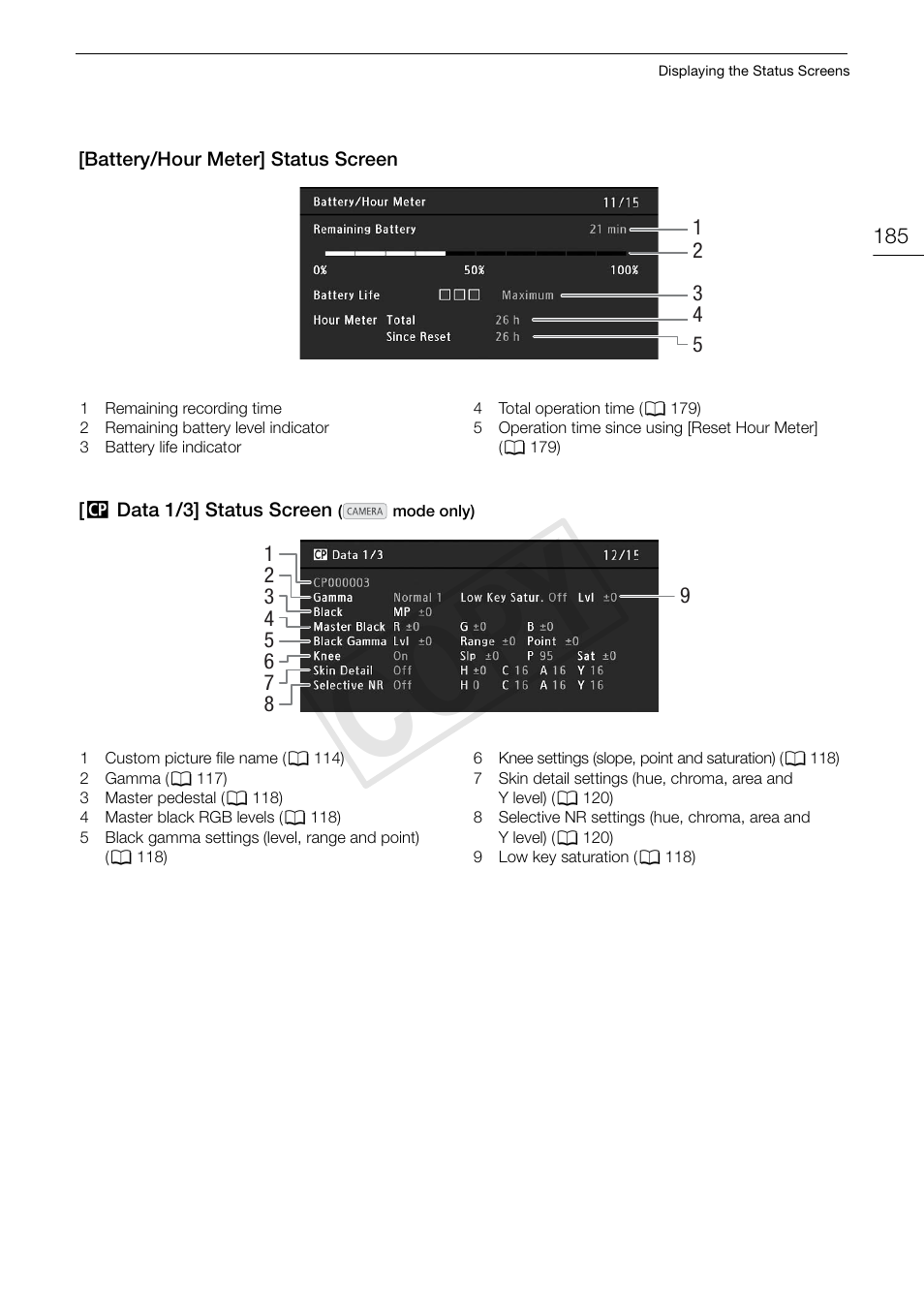 Cop y | Canon EOS C500 PL User Manual | Page 185 / 212
