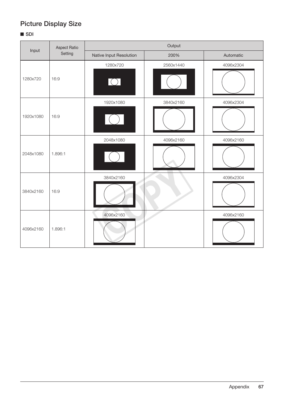 Picture display size, Cop y | Canon DP-V3010 User Manual | Page 67 / 82