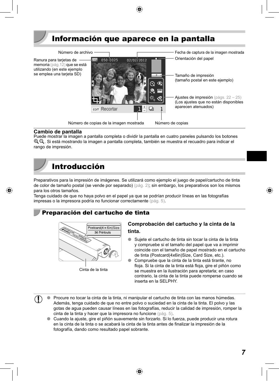 Información que aparece en la pantalla, Introducción, Preparación del cartucho de tinta | Canon SELPHY CP810 User Manual | Page 127 / 360