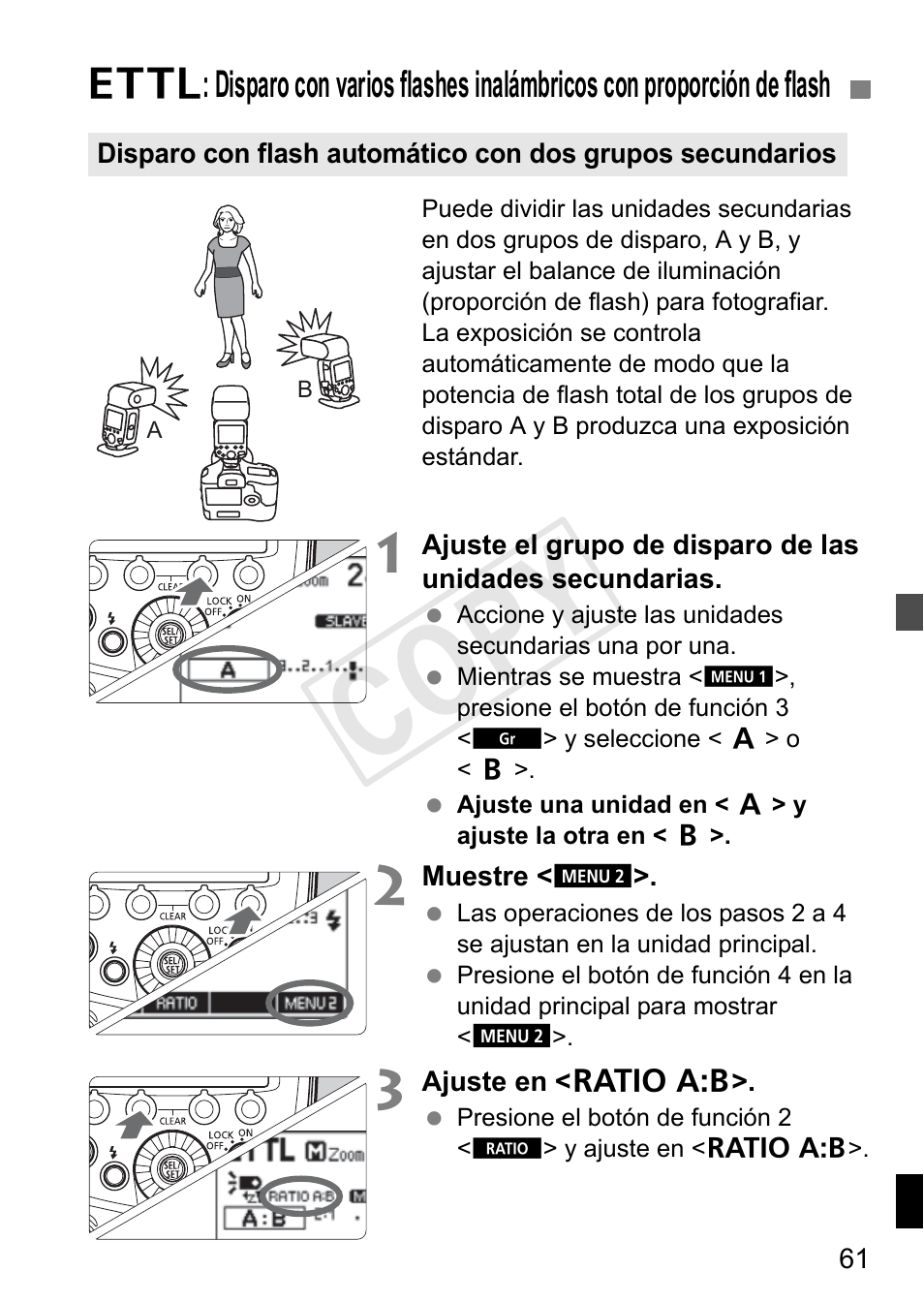 Cop y | Canon Speedlite 600EX-RT User Manual | Page 307 / 372