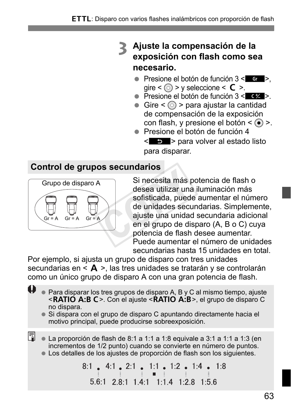 Cop y | Canon Speedlite 600EX-RT User Manual | Page 309 / 372