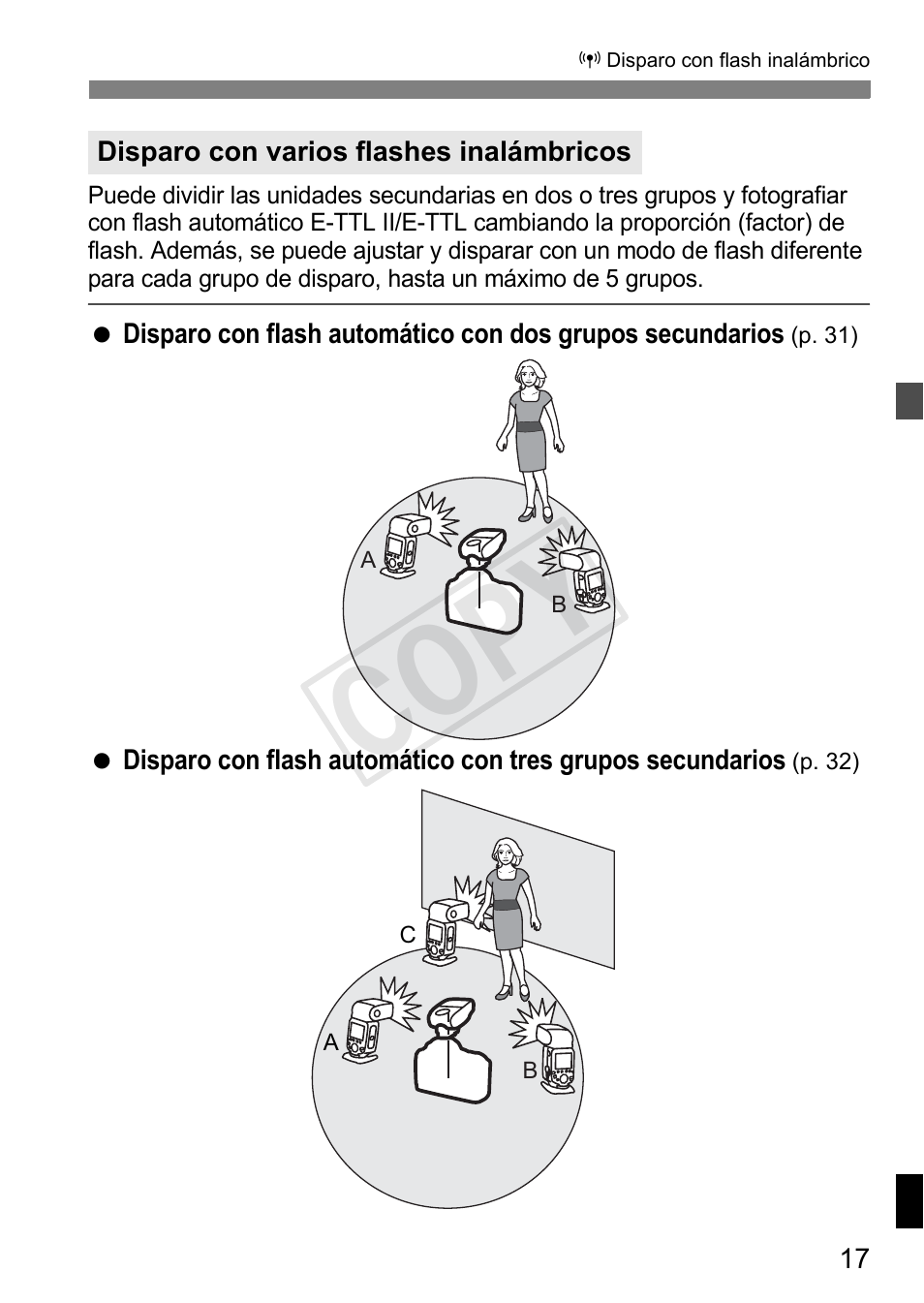 Cop y | Canon Speedlite Transmitter ST-E3-RT User Manual | Page 163 / 220