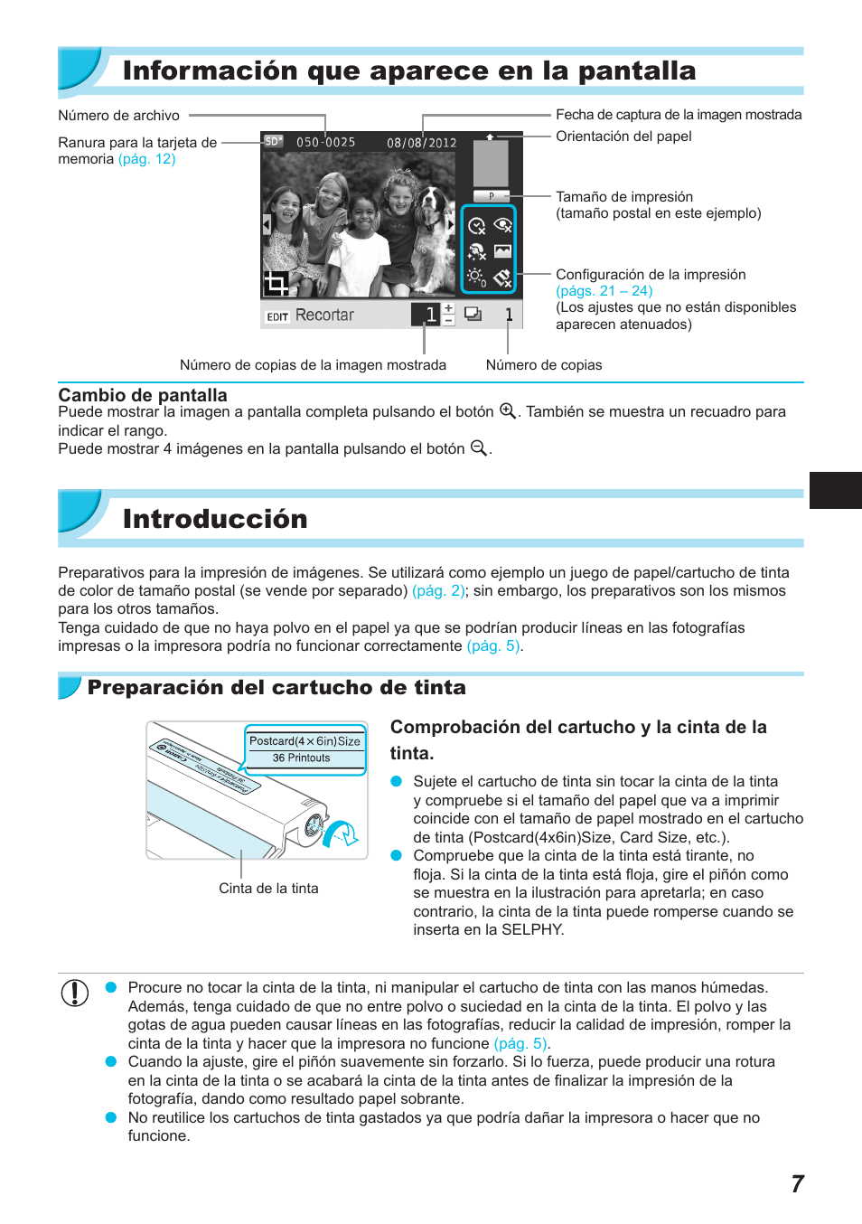 Información que aparece en la pantalla, Introducción, Preparación del cartucho de tinta | Canon SELPHY CP900 User Manual | Page 176 / 514