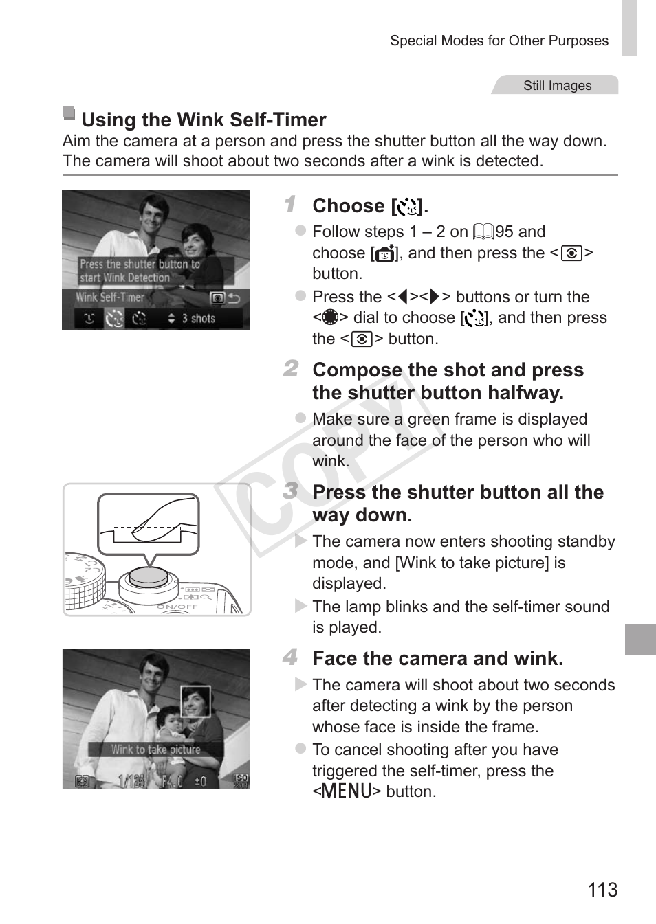 Cop y | Canon PowerShot G15 User Manual | Page 113 / 316