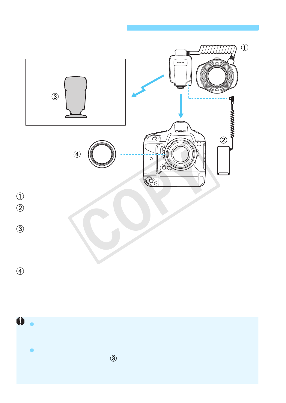 Sistema mr-14ex ii, Cop y | Canon Macro Ring Lite MR-14EX II User Manual | Page 238 / 260