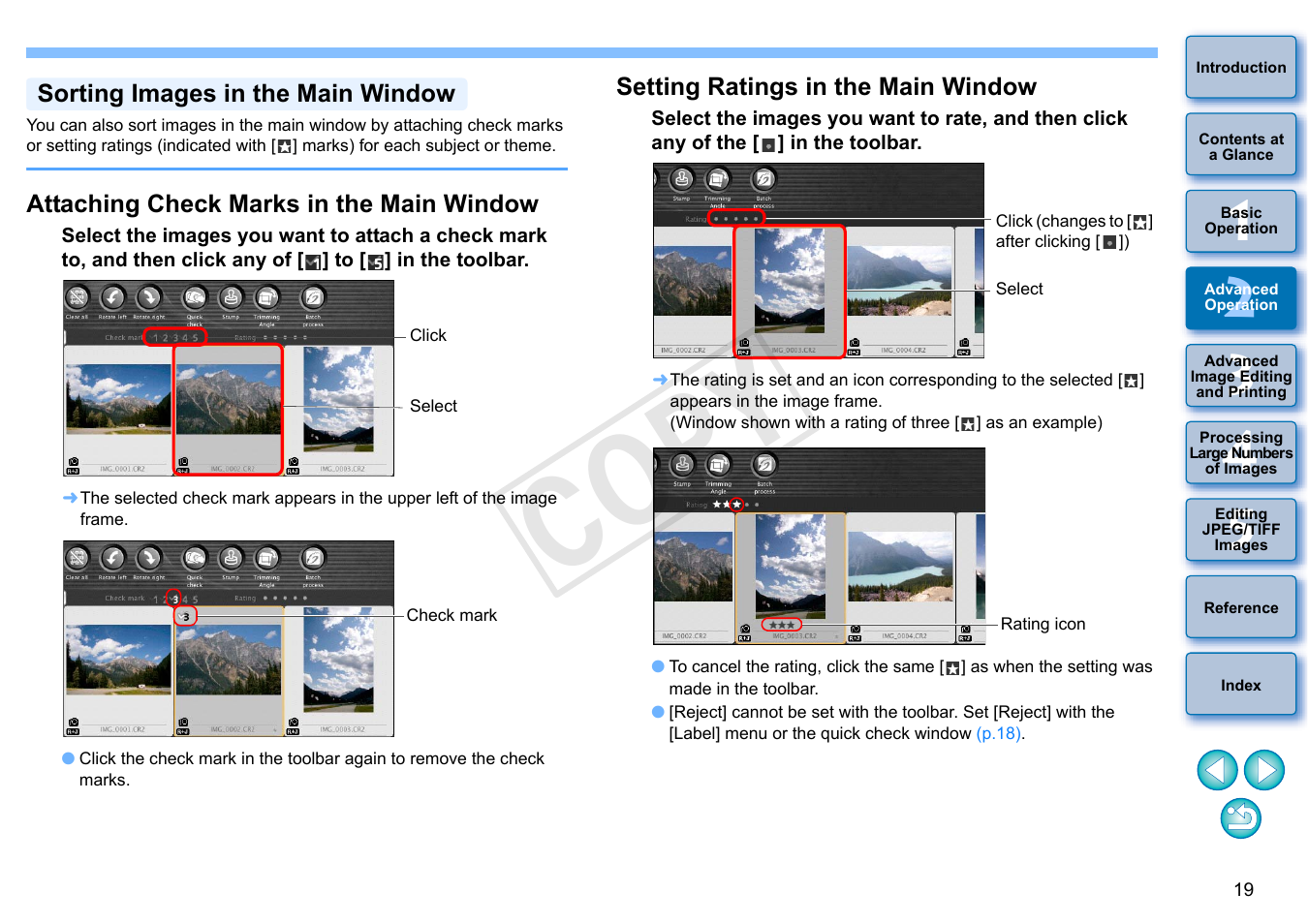 P.19, Sorting images in the main window, Attaching check marks in the main window | Setting ratings in the main window, Cop y | Canon PowerShot G1 X User Manual | Page 20 / 150