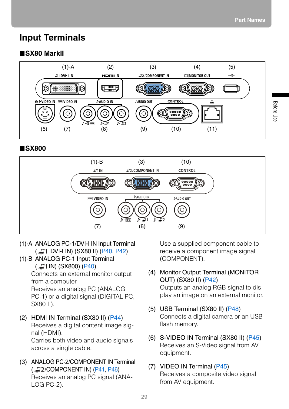 Input terminals, Sx80 markii, Sx800 | Canon REALiS SX80 Mark II D User Manual | Page 29 / 168