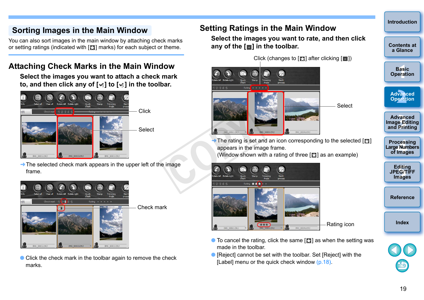 P.19, Sorting images in the main window, Attaching check marks in the main window | Setting ratings in the main window, Cop y | Canon EOS Rebel SL1 18-55mm IS STM Lens Kit User Manual | Page 20 / 152