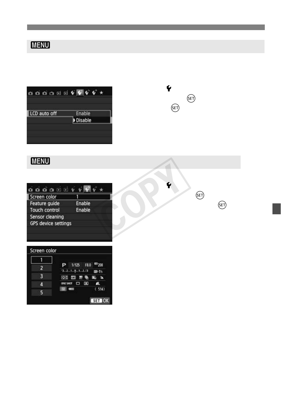 Cop y | Canon EOS Rebel T5i 18-55mm IS STM Lens Kit User Manual | Page 217 / 388