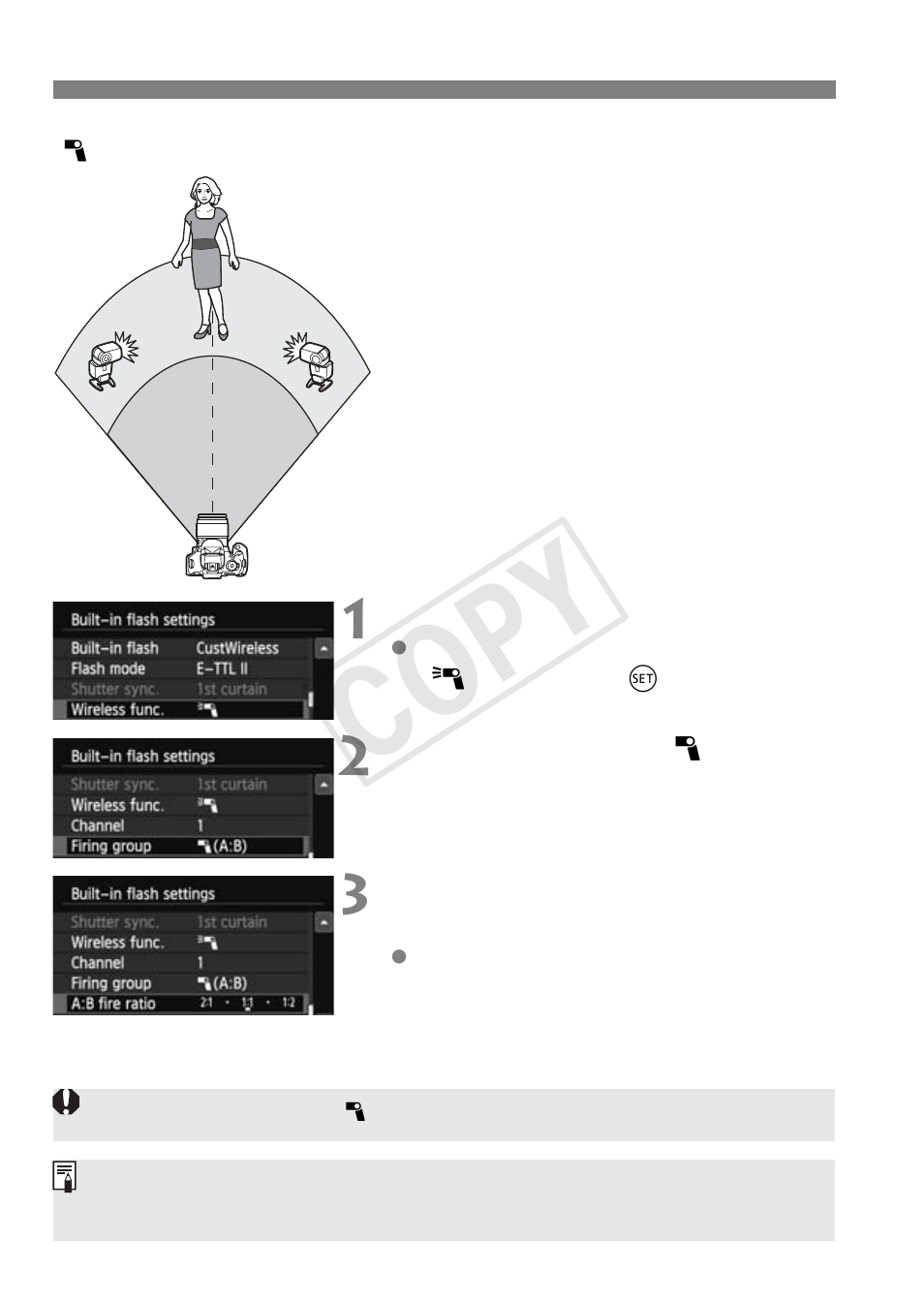 Cop y | Canon EOS Rebel T5i 18-55mm IS STM Lens Kit User Manual | Page 236 / 388