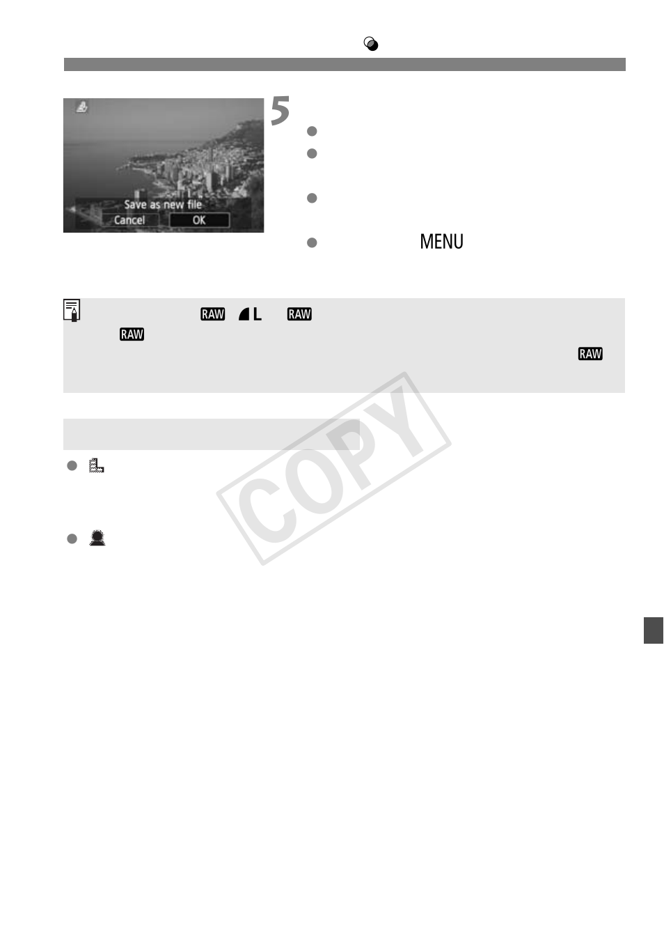 Cop y | Canon EOS Rebel T5i 18-55mm IS STM Lens Kit User Manual | Page 275 / 388