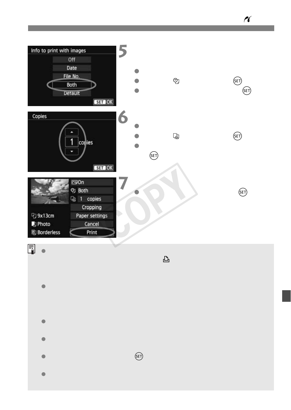 Cop y | Canon EOS Rebel T5i 18-55mm IS STM Lens Kit User Manual | Page 285 / 388
