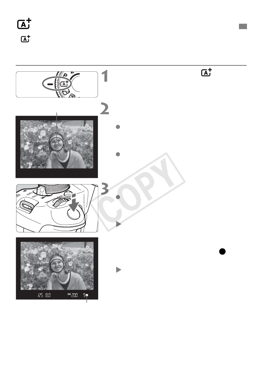 Cop y | Canon EOS Rebel T5i 18-55mm IS STM Lens Kit User Manual | Page 58 / 388