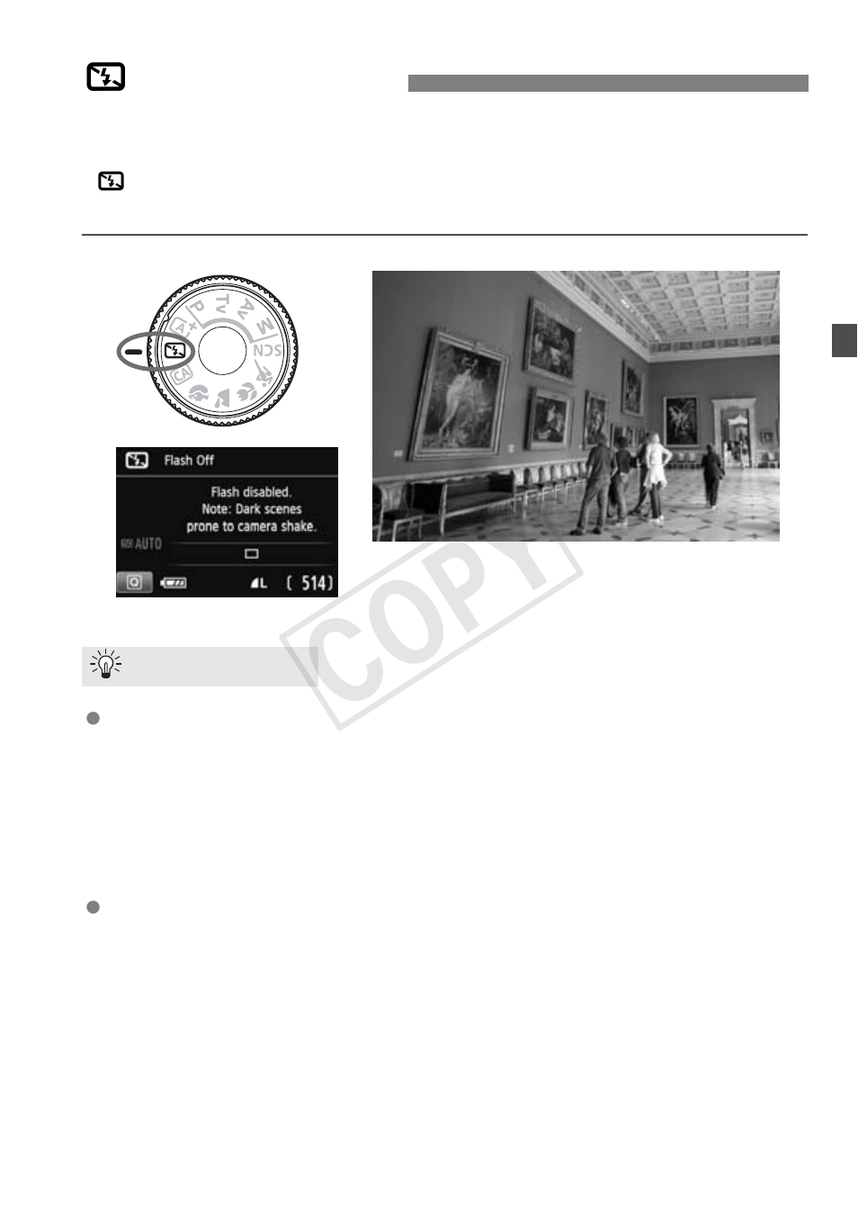 Cop y | Canon EOS Rebel T5i 18-55mm IS STM Lens Kit User Manual | Page 63 / 388