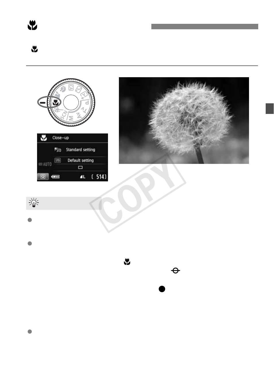 Cop y | Canon EOS Rebel T5i 18-55mm IS STM Lens Kit User Manual | Page 69 / 388