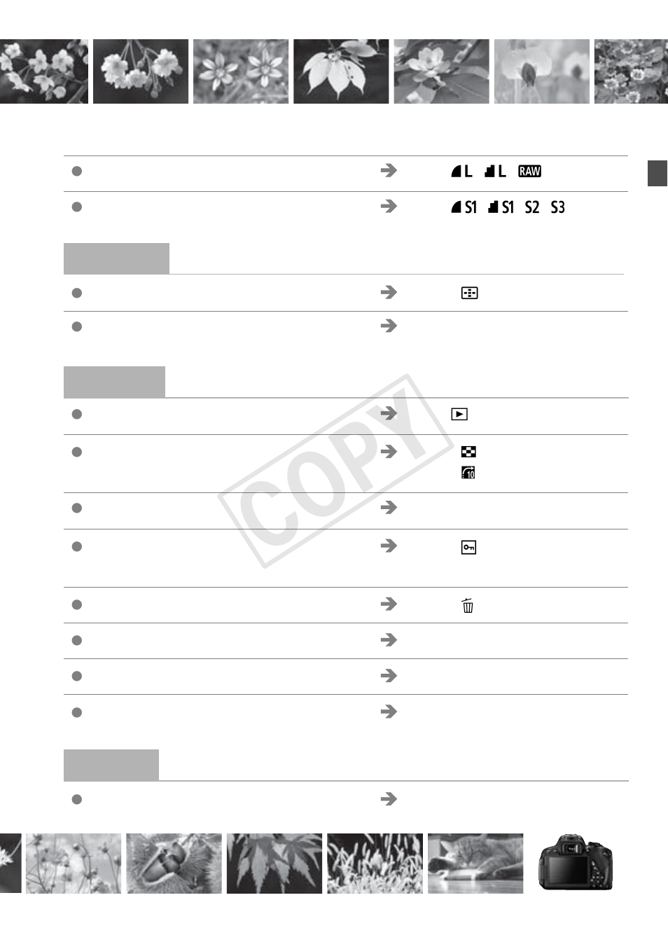 Cop y | Canon EOS Rebel T5i 18-55mm IS STM Lens Kit User Manual | Page 7 / 388